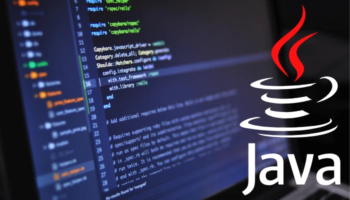 Course Programming with Java VIDYA VIKAS