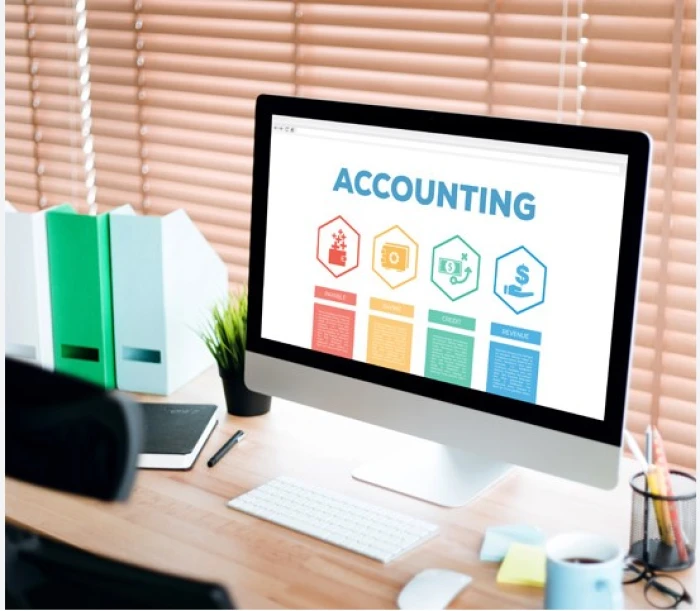 Certificate Course in Professional Accountant